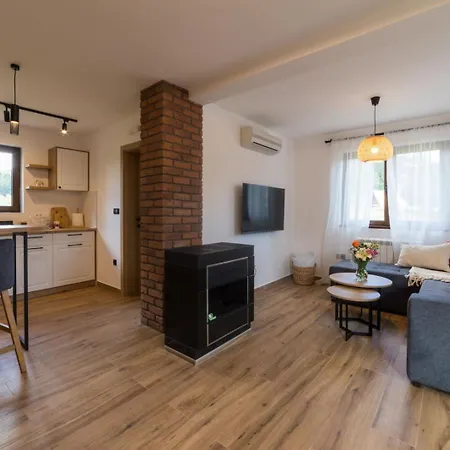 Kuca Za Odmor Ana 미트로박