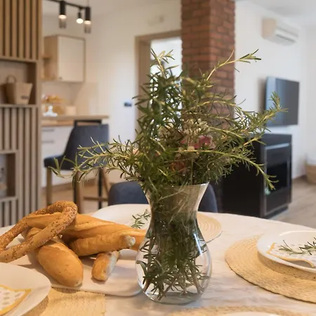 Kuca Za Odmor Ana 미트로박